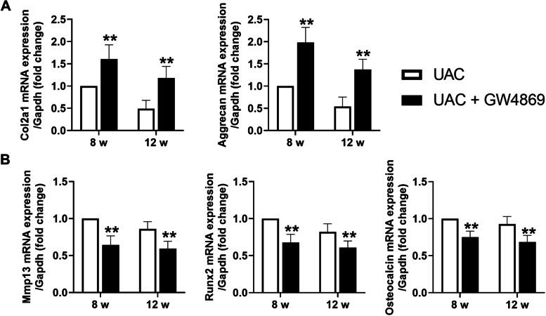 https://cdn.ncbi.nlm.nih.gov/pmc/blobs/c568/8842872/ab0bd2993e6b/13075_2022_2738_Fig8_HTML.jpg