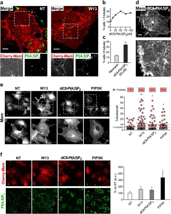 https://cdn.ncbi.nlm.nih.gov/pmc/blobs/c569/5537229/e86cc0229931/41598_2017_7130_Fig2_HTML.jpg