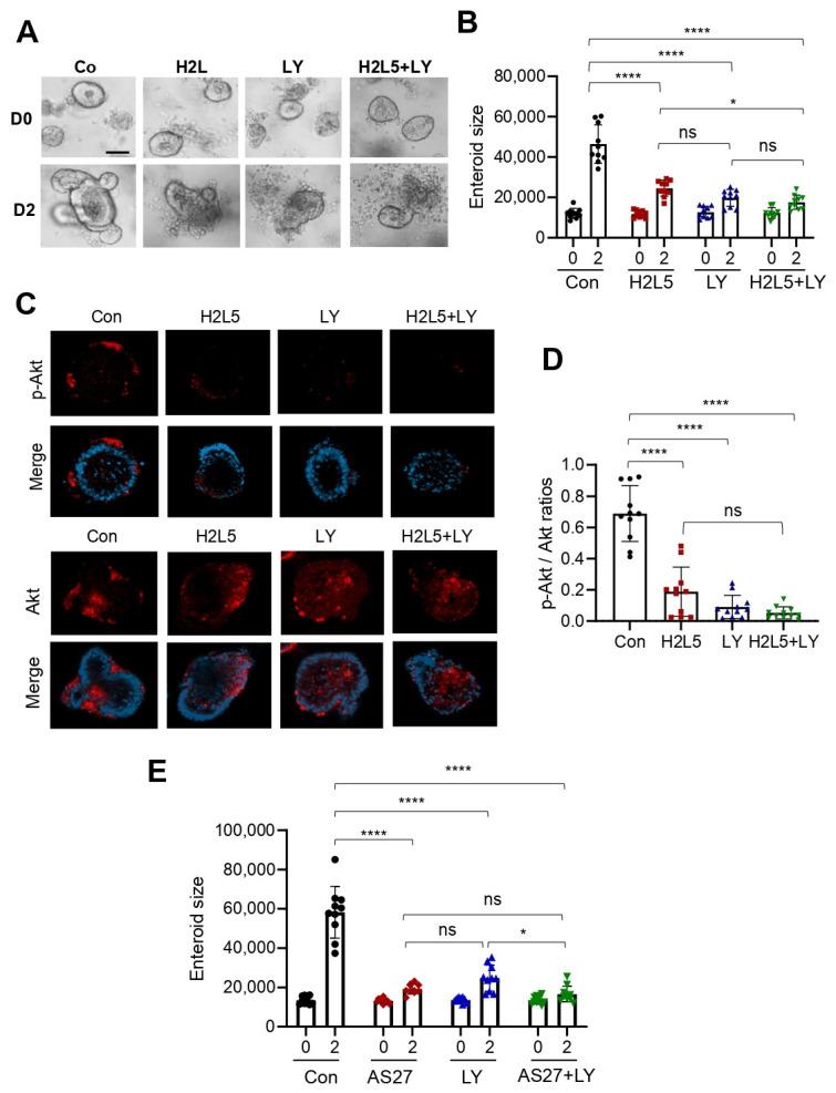 https://cdn.ncbi.nlm.nih.gov/pmc/blobs/c569/9324510/6749edb33a9a/cells-11-02243-g007.jpg