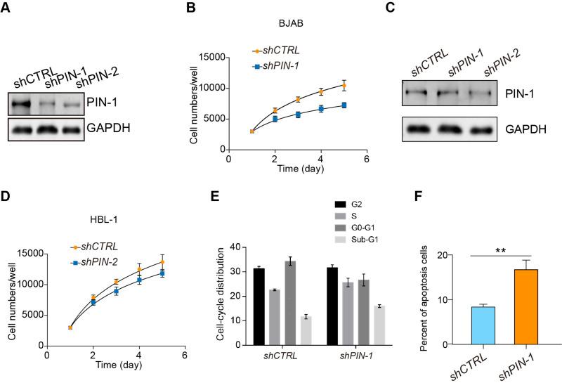 https://cdn.ncbi.nlm.nih.gov/pmc/blobs/c56a/7457679/265406a062e7/OTT-13-8593-g0002.jpg