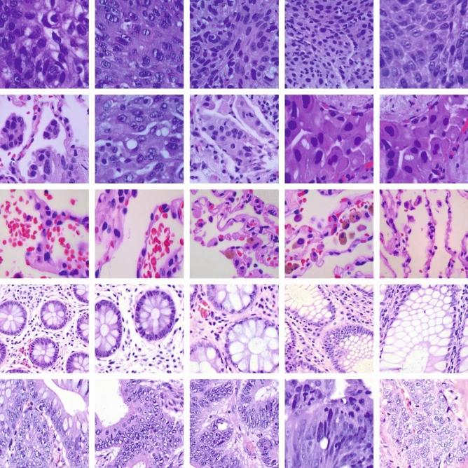 https://cdn.ncbi.nlm.nih.gov/pmc/blobs/c56b/11372073/906284997bb0/41598_2024_71302_Fig4_HTML.jpg