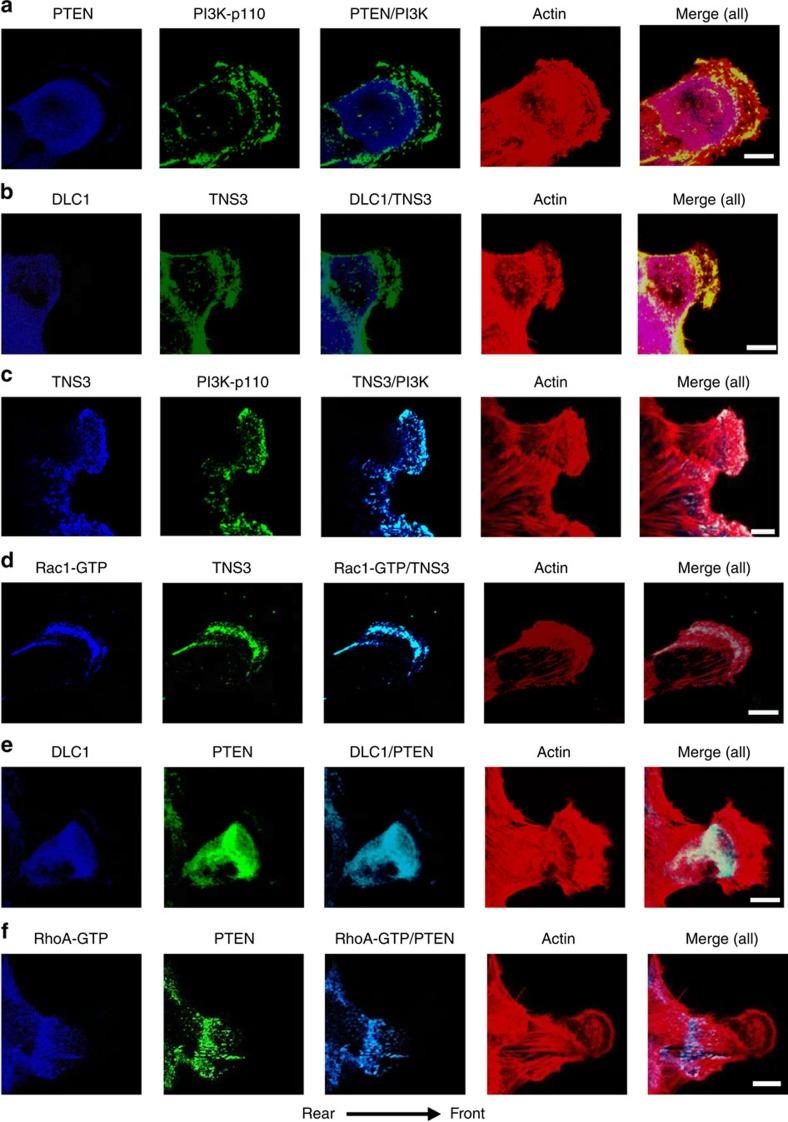 https://cdn.ncbi.nlm.nih.gov/pmc/blobs/c56b/4510974/72b05a2c0d48/ncomms8721-f5.jpg