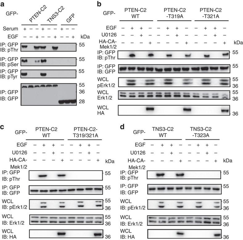 https://cdn.ncbi.nlm.nih.gov/pmc/blobs/c56b/4510974/da8b88e85d70/ncomms8721-f2.jpg