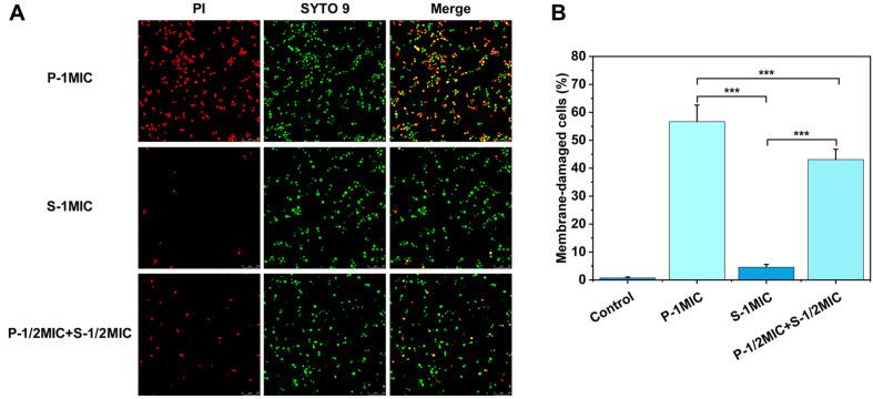 https://cdn.ncbi.nlm.nih.gov/pmc/blobs/c56d/12099613/4a9e3154c69e/jmb-35-e2412055-f5.jpg