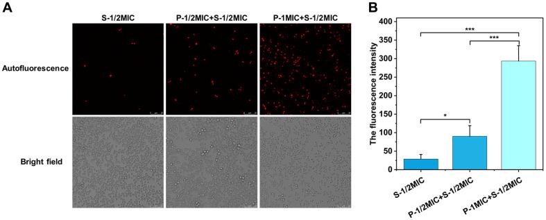 https://cdn.ncbi.nlm.nih.gov/pmc/blobs/c56d/12099613/77dd2164d4e2/jmb-35-e2412055-f7.jpg