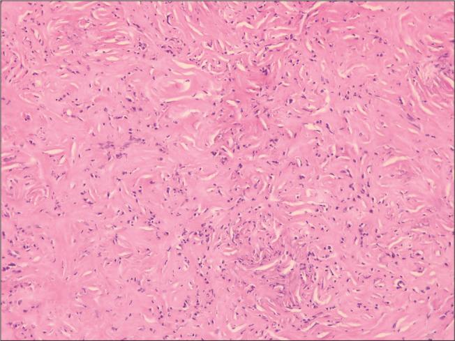 https://cdn.ncbi.nlm.nih.gov/pmc/blobs/c56d/9168305/13f558d72d31/SNI-13-224-g003.jpg