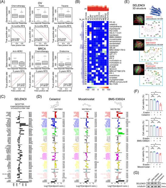 https://cdn.ncbi.nlm.nih.gov/pmc/blobs/c56e/11635127/369364c390f8/MCO2-5-e70033-g004.jpg