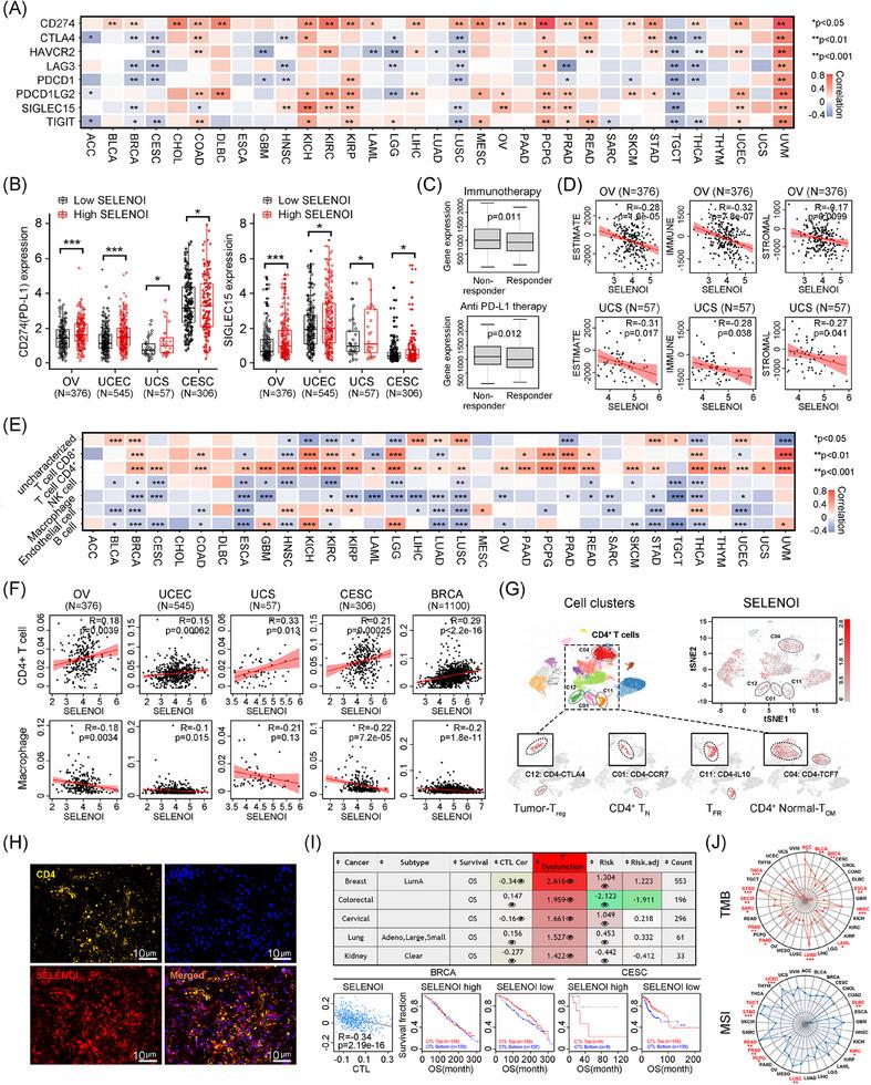 https://cdn.ncbi.nlm.nih.gov/pmc/blobs/c56e/11635127/59354ad9ffe5/MCO2-5-e70033-g002.jpg