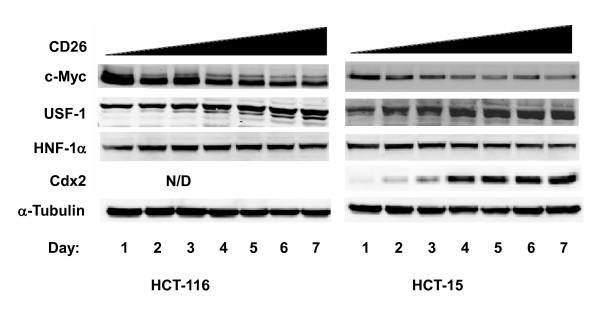 https://cdn.ncbi.nlm.nih.gov/pmc/blobs/c570/3038146/e631f6fa179b/1471-2407-11-51-2.jpg