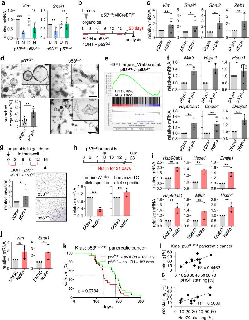 https://cdn.ncbi.nlm.nih.gov/pmc/blobs/c570/8242083/1364bb6749f9/41467_2021_24064_Fig7_HTML.jpg