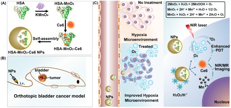 https://cdn.ncbi.nlm.nih.gov/pmc/blobs/c571/5817106/260f0575cc0d/thnov08p0990g001.jpg