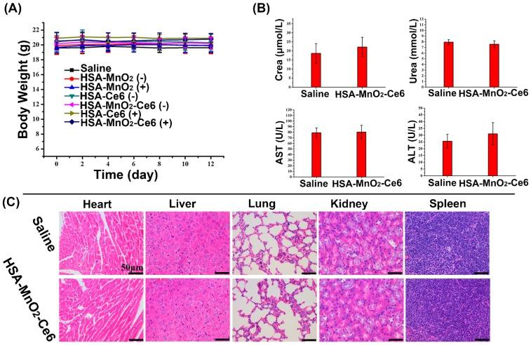 https://cdn.ncbi.nlm.nih.gov/pmc/blobs/c571/5817106/9cca167b0114/thnov08p0990g010.jpg