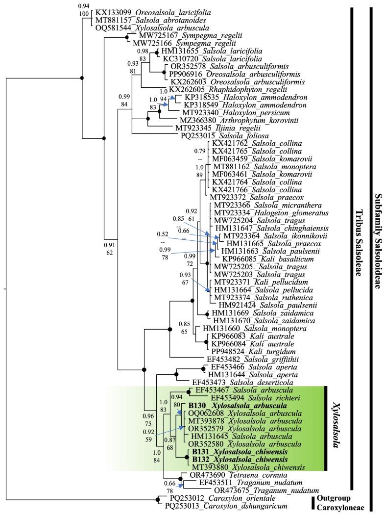 https://cdn.ncbi.nlm.nih.gov/pmc/blobs/c574/12348769/0d6ac504a70b/plants-14-02279-g009.jpg