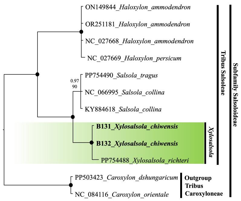 https://cdn.ncbi.nlm.nih.gov/pmc/blobs/c574/12348769/342158359499/plants-14-02279-g010.jpg