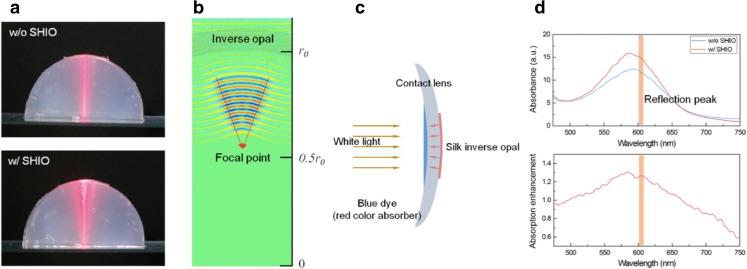 https://cdn.ncbi.nlm.nih.gov/pmc/blobs/c574/6223815/8289586434db/11095_2018_2534_Fig3_HTML.jpg