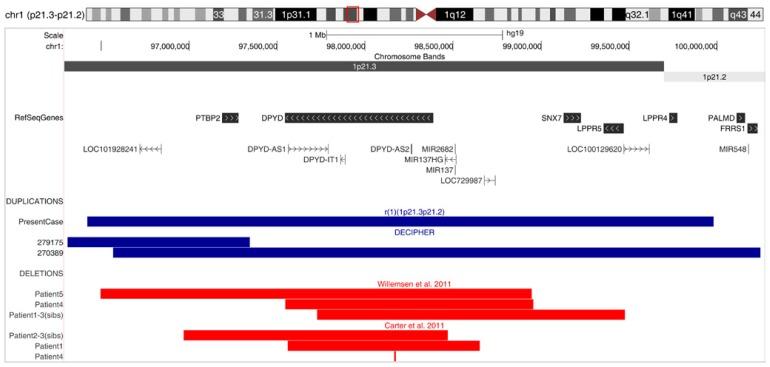 https://cdn.ncbi.nlm.nih.gov/pmc/blobs/c577/4936614/6704e28a6a99/tnsci-2015-0007f3.jpg