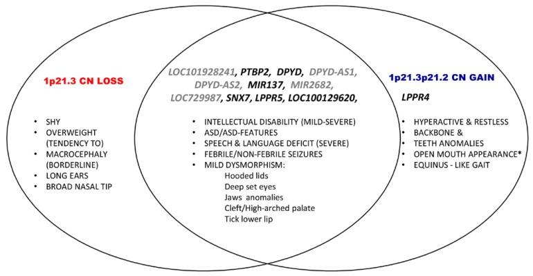 https://cdn.ncbi.nlm.nih.gov/pmc/blobs/c577/4936614/cba657afe677/tnsci-2015-0007f5.jpg