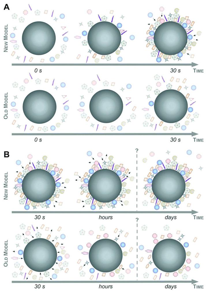 https://cdn.ncbi.nlm.nih.gov/pmc/blobs/c578/11124003/503dc9f6075e/nanomaterials-14-00823-g002.jpg