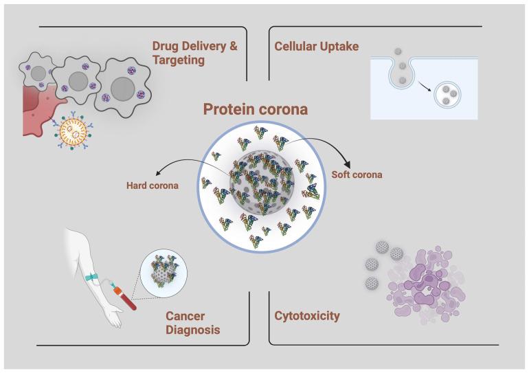 https://cdn.ncbi.nlm.nih.gov/pmc/blobs/c578/11124003/54ddfe6ec8e5/nanomaterials-14-00823-g007.jpg
