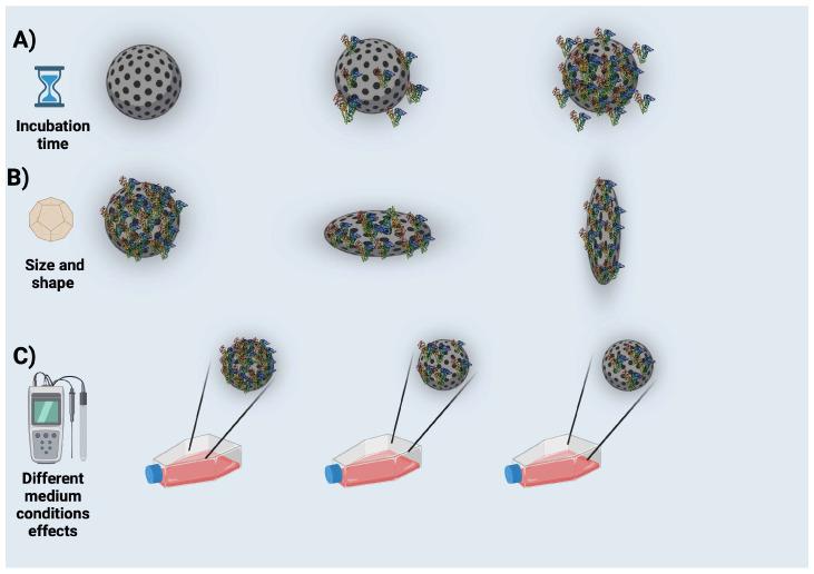 https://cdn.ncbi.nlm.nih.gov/pmc/blobs/c578/11124003/9ffd486bfbff/nanomaterials-14-00823-g003.jpg