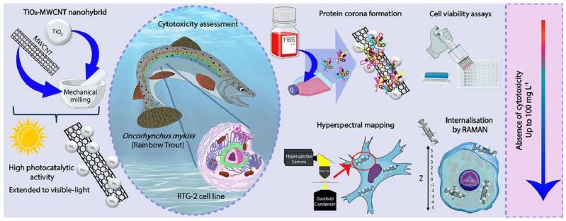 https://cdn.ncbi.nlm.nih.gov/pmc/blobs/c578/11124003/f540b9daaee0/nanomaterials-14-00823-g005.jpg
