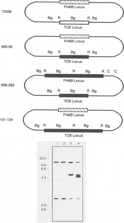 https://cdn.ncbi.nlm.nih.gov/pmc/blobs/c578/195193/1c19ce9c7669/aem00042-0231-a.jpg