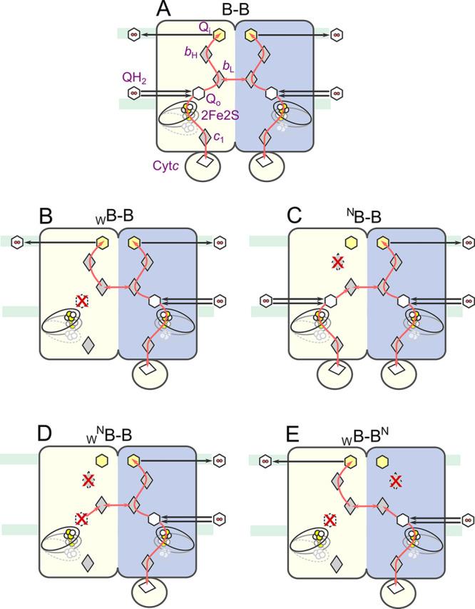 https://cdn.ncbi.nlm.nih.gov/pmc/blobs/c57b/7908018/225544485c57/cr0c00712_0037.jpg