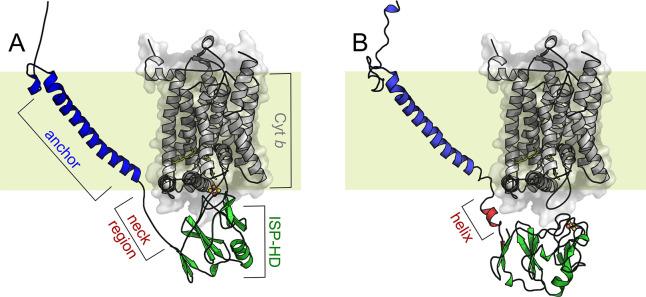 https://cdn.ncbi.nlm.nih.gov/pmc/blobs/c57b/7908018/31038f30ec9a/cr0c00712_0006.jpg