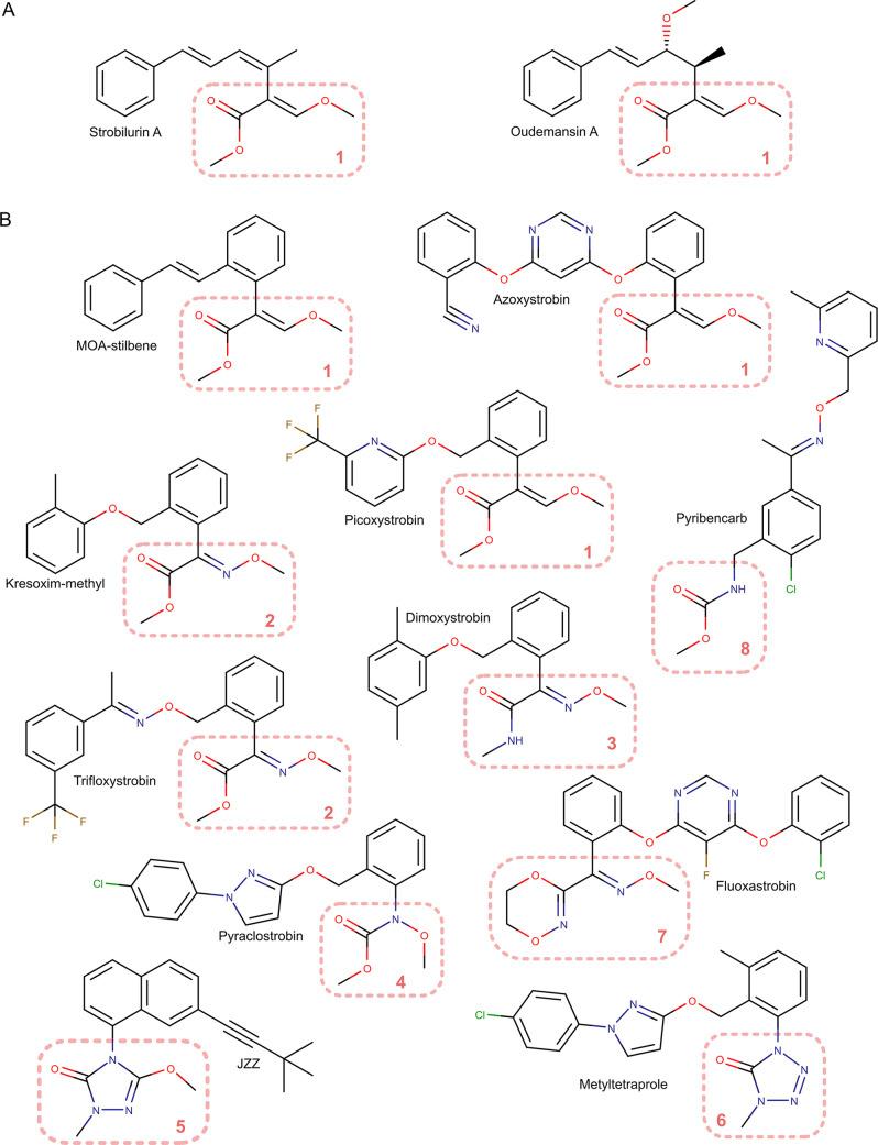 https://cdn.ncbi.nlm.nih.gov/pmc/blobs/c57b/7908018/485ae1ca4569/cr0c00712_0022.jpg