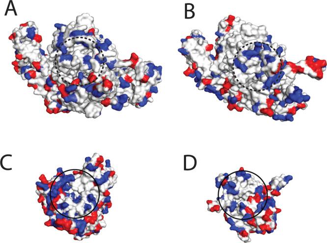 https://cdn.ncbi.nlm.nih.gov/pmc/blobs/c57b/7908018/7f6134387ad0/cr0c00712_0015.jpg