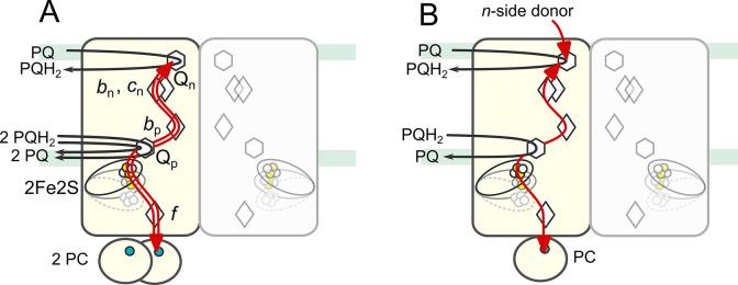 https://cdn.ncbi.nlm.nih.gov/pmc/blobs/c57b/7908018/87891727a826/cr0c00712_0004.jpg