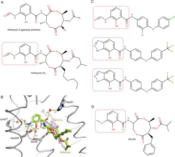 https://cdn.ncbi.nlm.nih.gov/pmc/blobs/c57b/7908018/949778cd182b/cr0c00712_0016.jpg