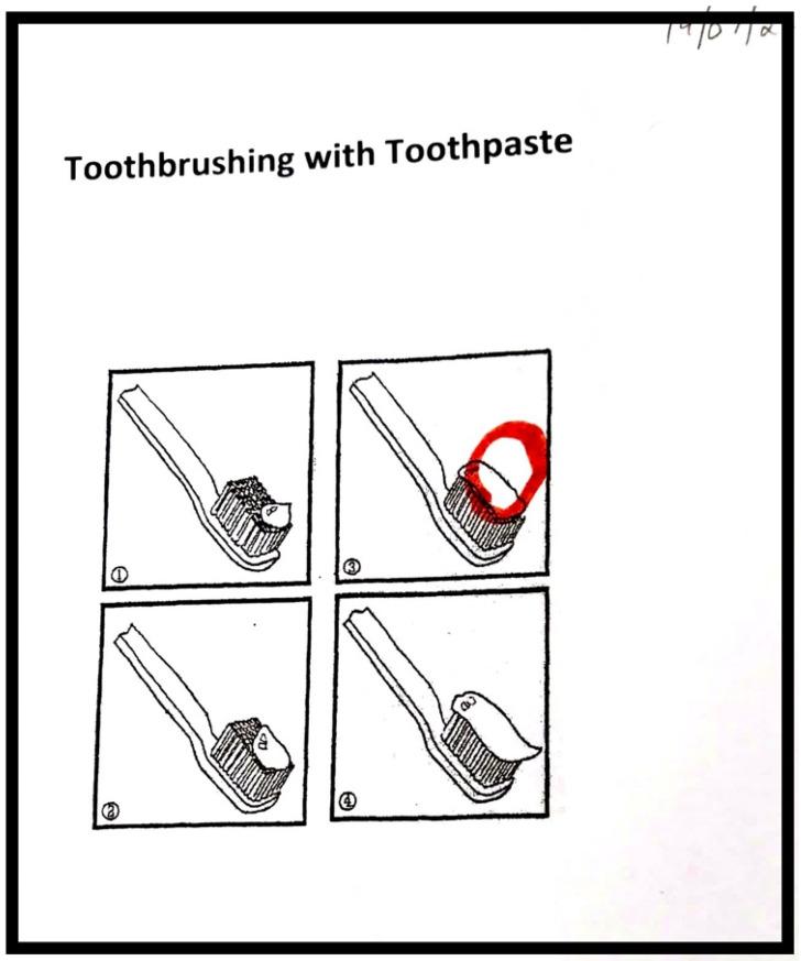 https://cdn.ncbi.nlm.nih.gov/pmc/blobs/c57c/11049284/a314ff59f951/children-11-00415-g003a.jpg