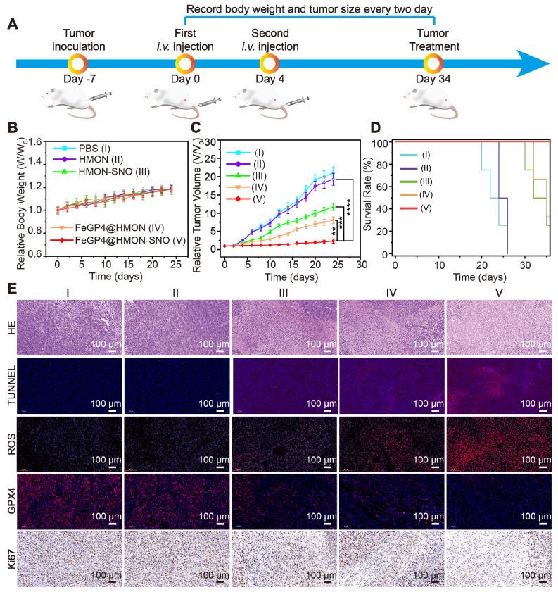 https://cdn.ncbi.nlm.nih.gov/pmc/blobs/c57d/11626936/06676fe6d898/thnov14p7349g008.jpg