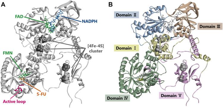 https://cdn.ncbi.nlm.nih.gov/pmc/blobs/c57e/9242541/b9709a4ea558/fphar-13-930470-g005.jpg