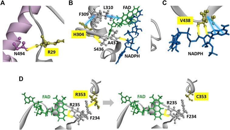 https://cdn.ncbi.nlm.nih.gov/pmc/blobs/c57e/9242541/d4b48d2978db/fphar-13-930470-g006.jpg