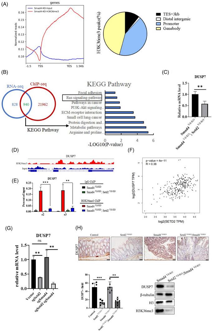 https://cdn.ncbi.nlm.nih.gov/pmc/blobs/c583/10644329/0d783696131e/CTM2-13-e1475-g002.jpg