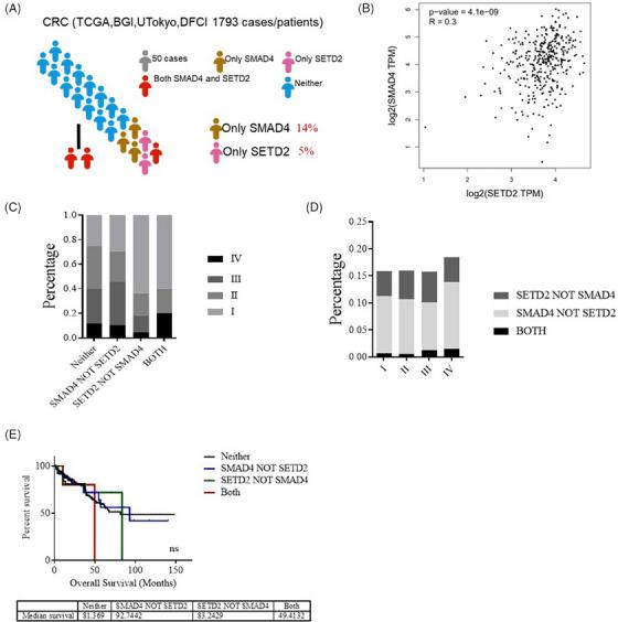 https://cdn.ncbi.nlm.nih.gov/pmc/blobs/c583/10644329/6026b47fab7c/CTM2-13-e1475-g005.jpg