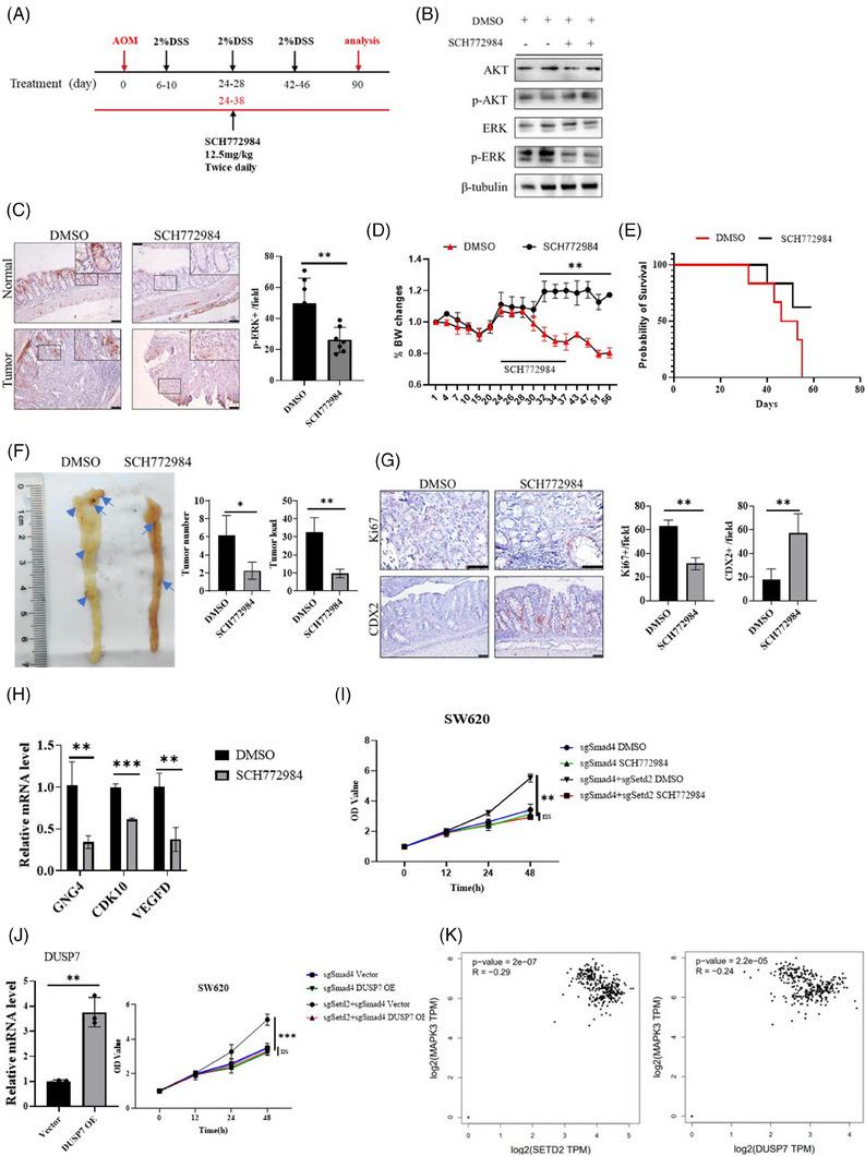 https://cdn.ncbi.nlm.nih.gov/pmc/blobs/c583/10644329/871860b70b3a/CTM2-13-e1475-g001.jpg