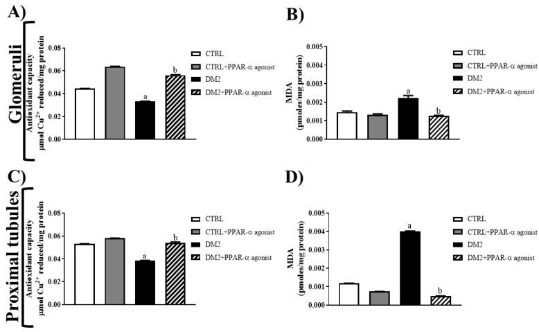 https://cdn.ncbi.nlm.nih.gov/pmc/blobs/c583/11641852/0c0781f4aa09/ijms-25-13152-g006.jpg