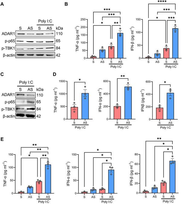 https://cdn.ncbi.nlm.nih.gov/pmc/blobs/c587/12141924/7f009e35f24d/MCO2-6-e70212-g003.jpg