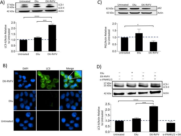 https://cdn.ncbi.nlm.nih.gov/pmc/blobs/c588/8710245/f5219cab2cd4/13578_2021_732_Fig8_HTML.jpg