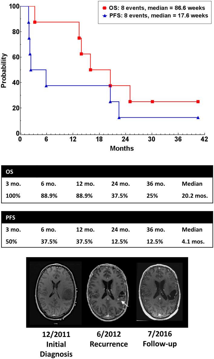 https://cdn.ncbi.nlm.nih.gov/pmc/blobs/c58a/11029717/1abf6bdfd424/262_2016_1890_Fig6_HTML.jpg