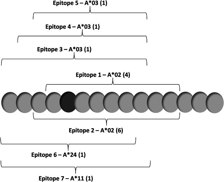 https://cdn.ncbi.nlm.nih.gov/pmc/blobs/c58a/11029717/df4bb4b1f22c/262_2016_1890_Fig1_HTML.jpg