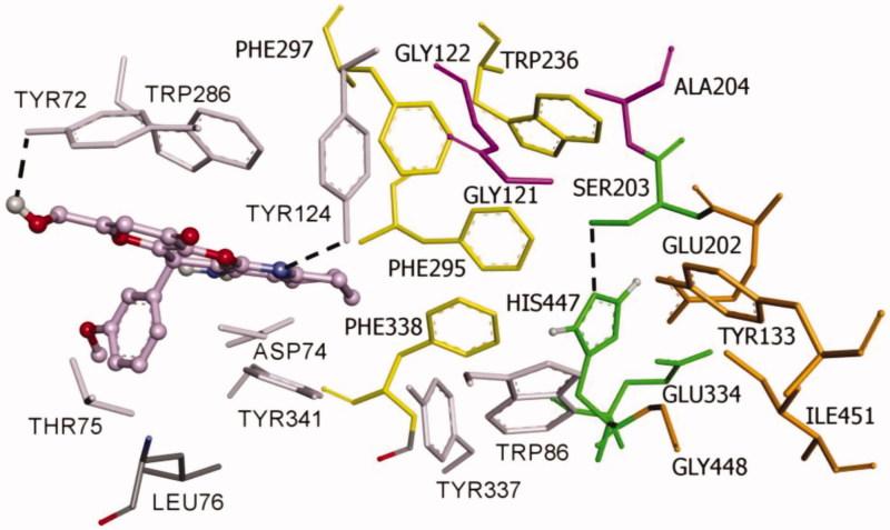 https://cdn.ncbi.nlm.nih.gov/pmc/blobs/c58a/6263107/13ff9ed99bd5/IENZ_A_1538136_F0002_C.jpg