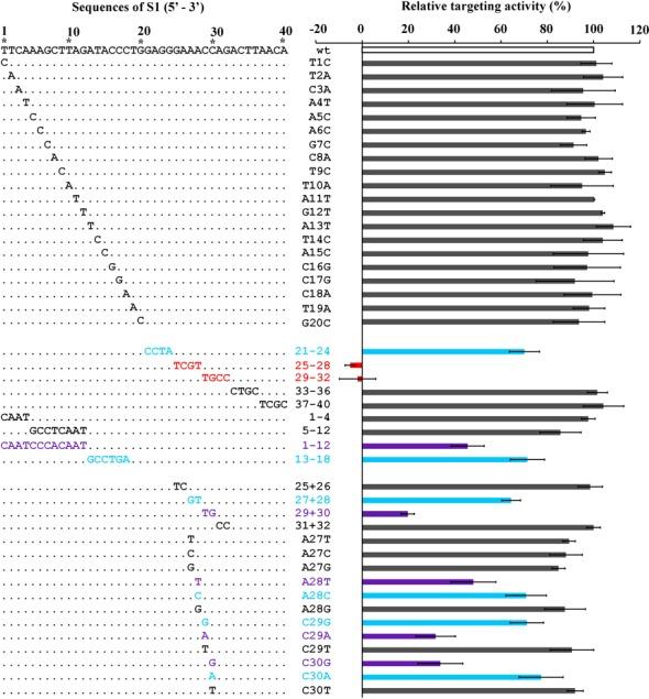 https://cdn.ncbi.nlm.nih.gov/pmc/blobs/c58c/4288192/eb4f8d143b55/gku1302fig2.jpg