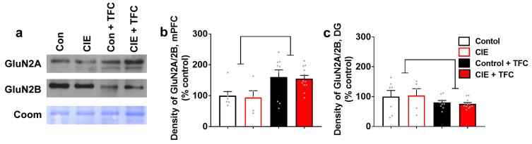 https://cdn.ncbi.nlm.nih.gov/pmc/blobs/c58e/11118749/c026050075fb/brainsci-14-00431-g004.jpg