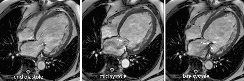 https://cdn.ncbi.nlm.nih.gov/pmc/blobs/c58e/3289007/139658841fe8/13244_2011_101_Fig1_HTML.jpg