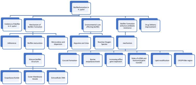 https://cdn.ncbi.nlm.nih.gov/pmc/blobs/c58f/11504965/5419df515c0c/antibiotics-13-00976-g001.jpg