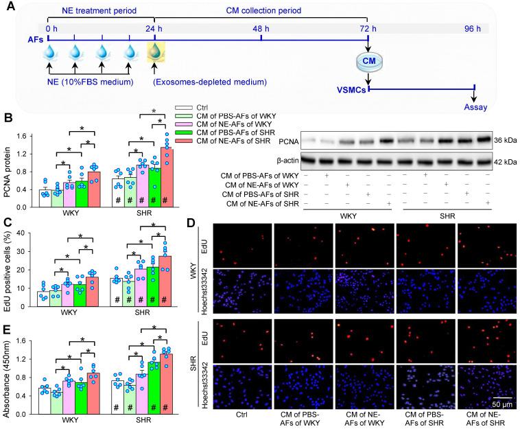 https://cdn.ncbi.nlm.nih.gov/pmc/blobs/c58f/9254254/a273e920f2c4/thnov12p4718g003.jpg